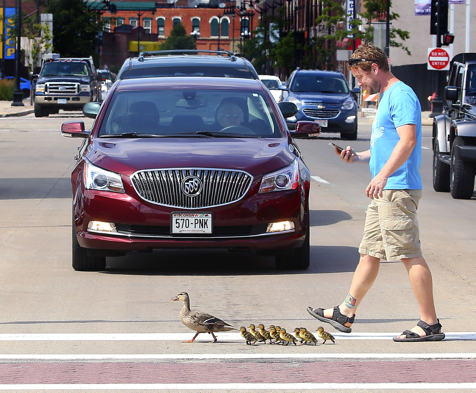 Duck crossing